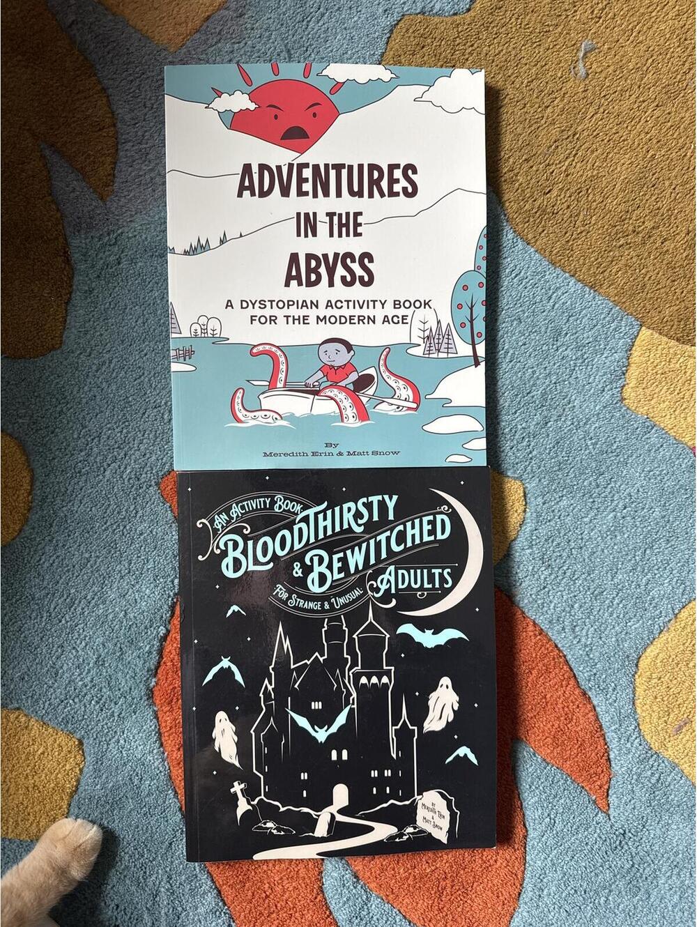 Boredwalk Activity Book Lot 2 Dystopian Goth Puzzles Adults Meredith Erin